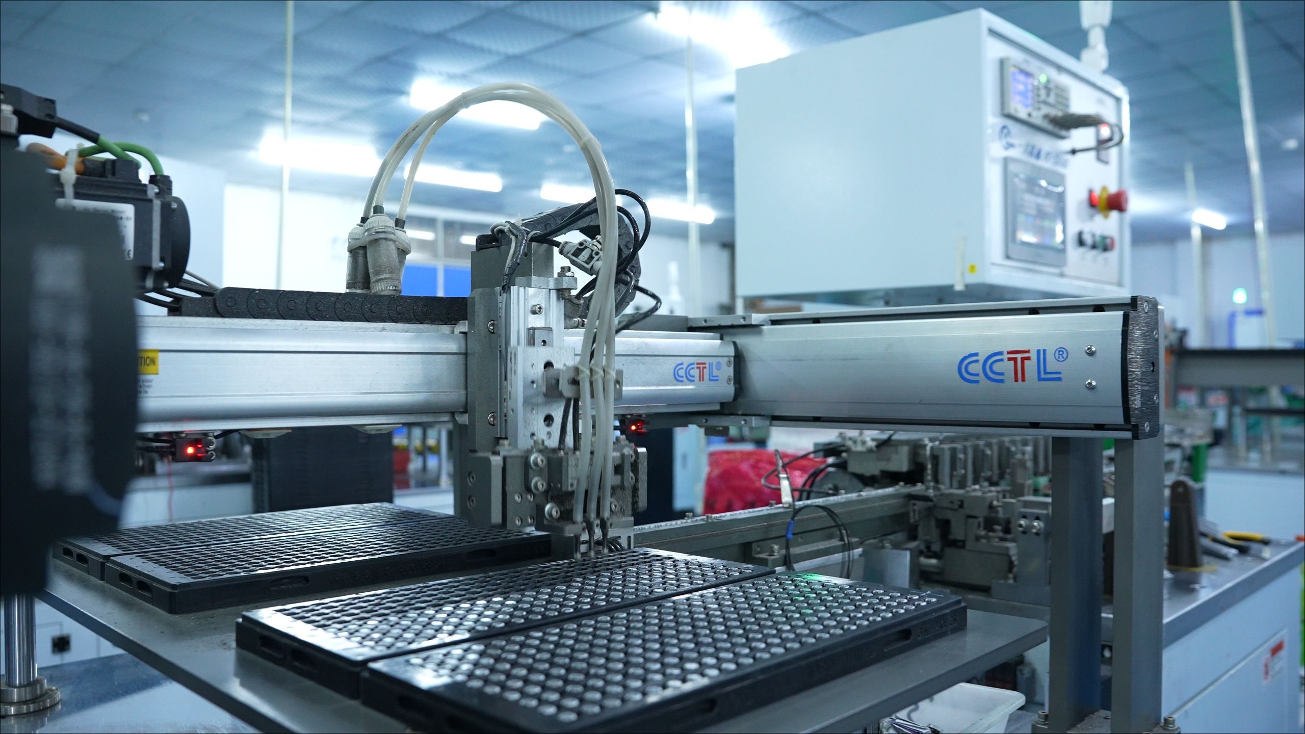 Circadian Agriculture: Tailored Light Spectra Boost Crop Yield and Quality