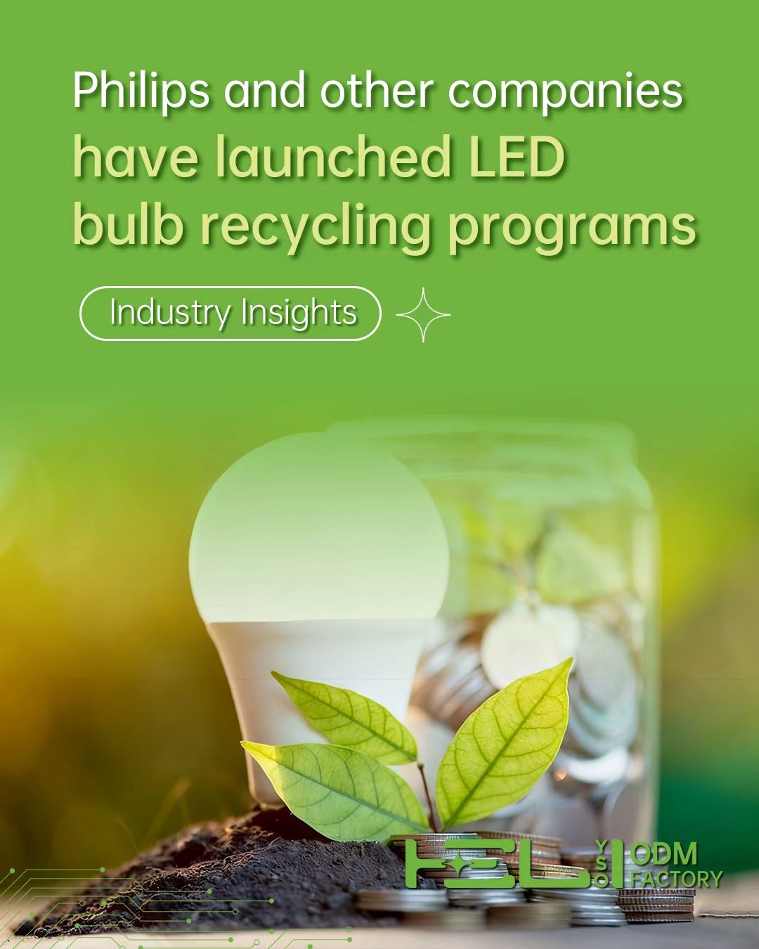 Advanced Color Consistency Manufacturing with AI Sorting