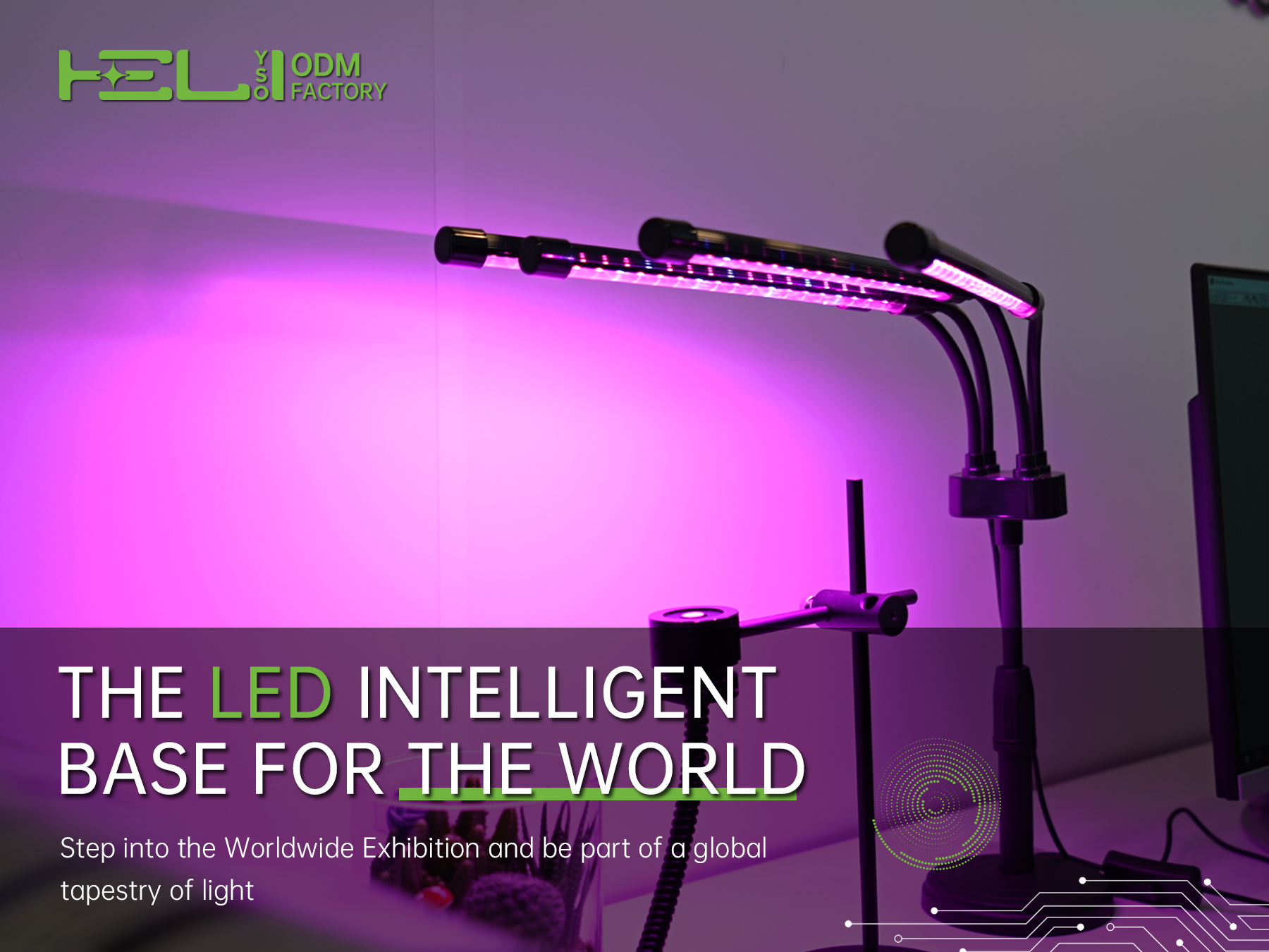 Circadian Lighting Expands into Education and Senior Living